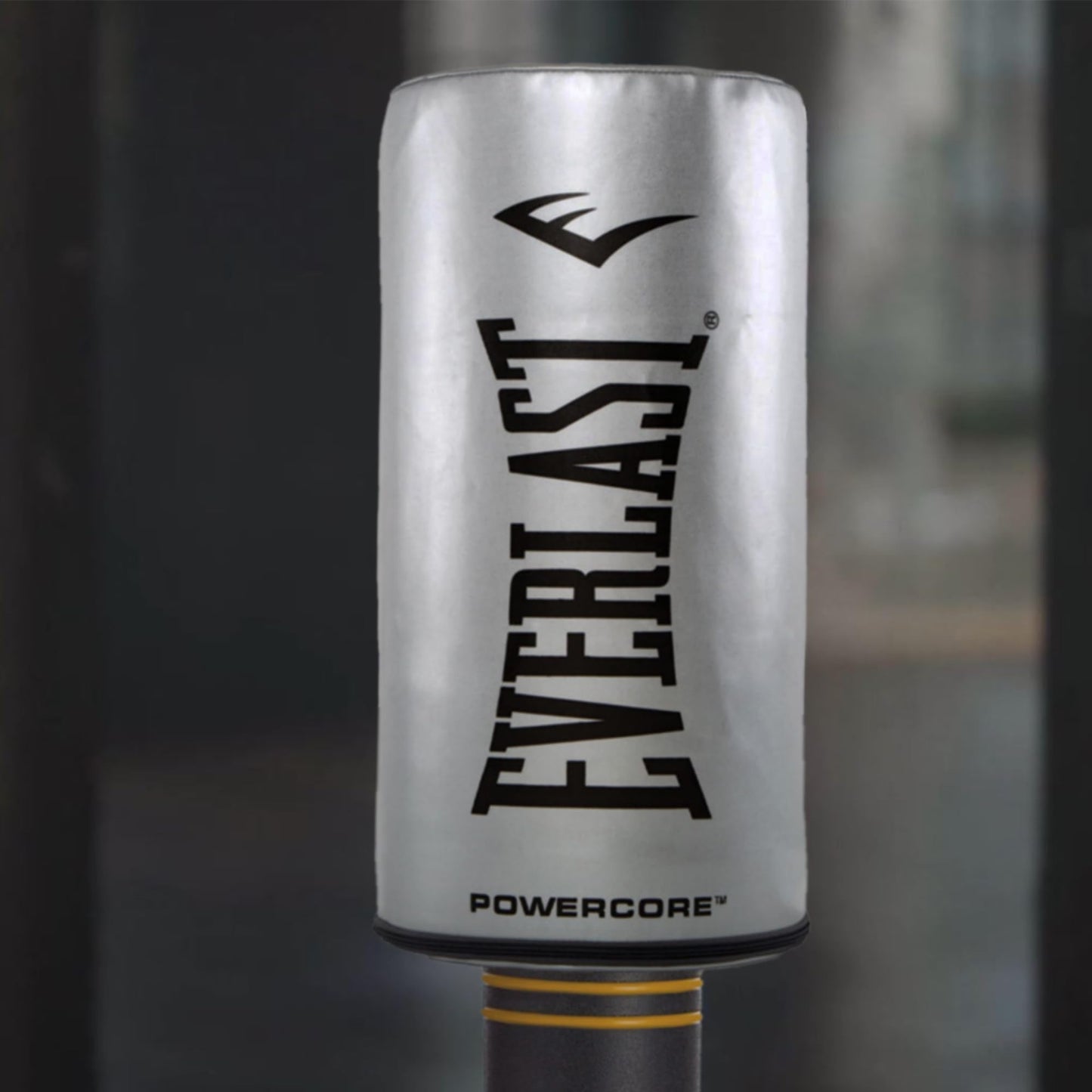 Everlast P00002200 Powercore Free Standing Heavy Bag