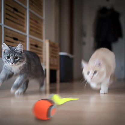 FXBUAF Speedy Tail 2.0, Automatic Moving Cat Toy Ball with Tail, Smart Interactive Cat Toy Ball, Two Speed Adjustment(Orange + Blue)