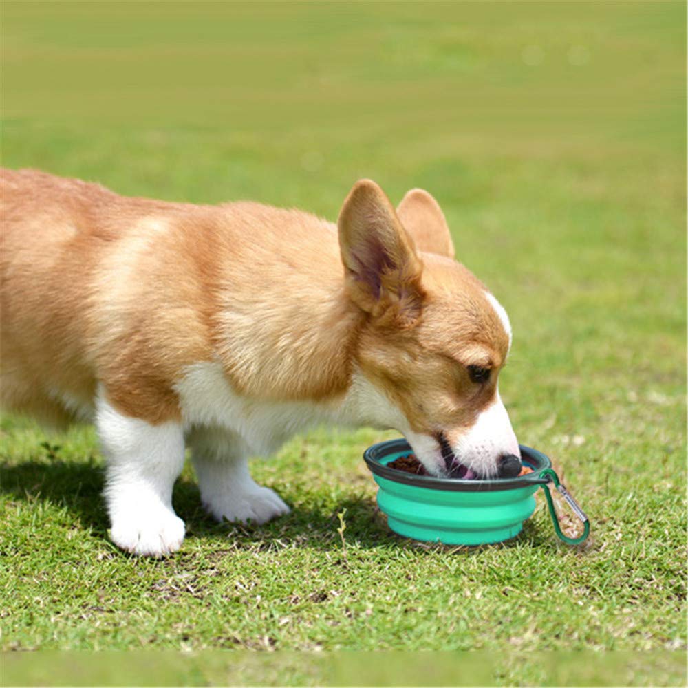 SLSON Collapsible Pet Bowl Dog Bowls 2 Pack, Portable Silicone Pet Feeder, Foldable Expandable for Dog/Cat Food Water Feeding, Travel Bowl for Camping (Light Blue+Light Green)