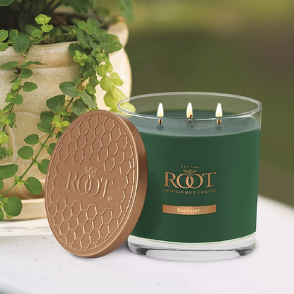 Root Candles 3-Wick Hive Scented Beeswax Blend Candle, 12-Ounce, Bayberry
