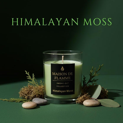 Smoke Odor Eliminating Candle – Himalayan Moss Soy Wax Candle for Kitchen, Apartment & Home Smells, Long Lasting Odor Neutralizing Scented Candle, 150g / 5.3 oz – Maison De Flamme