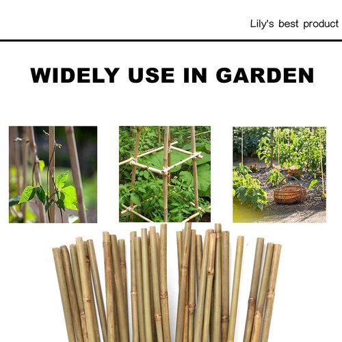 HOPELF 50 Pack 3ft Bamboo Plant Stakes for Wood Garden Sticks，Wooden Plant Supports，Bamboos，Trellis，Crafts, More Size Choices 8"/12"/16"//2'/3'/4'/5'/6'