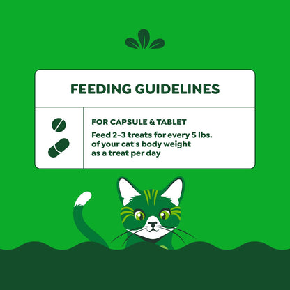 Greenies Feline Pill Pockets for Cats Natural Soft Cat Treats, Catnip Flavor, 1.6 oz. Pouch (45 Treats)