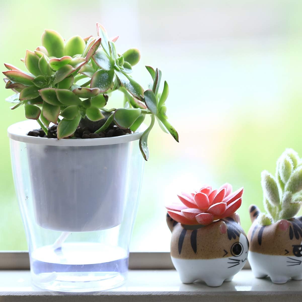 5-Pack 4.3 Inches Clear Self-Watering Planters Small African Violet Pots Plastic Plant Pots Wicking Flower Pots for Indoor Plants, Herbs, African Violet, Ocean Spider Plant, Orchid Pot, Garden Pots