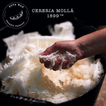 CERERÍA MOLLA 1899 | MINI Turberose & Jasmine Candle | 70 g Aromatic Candles | 20 Hours Burn Time | Candle with Natural Fragrances | Recyclable Packaging | Artisan Candle