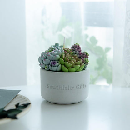 Assorted Succulent Pot Scented Vegetable Wax Candle for Spa Home Decoration Wedding Gift