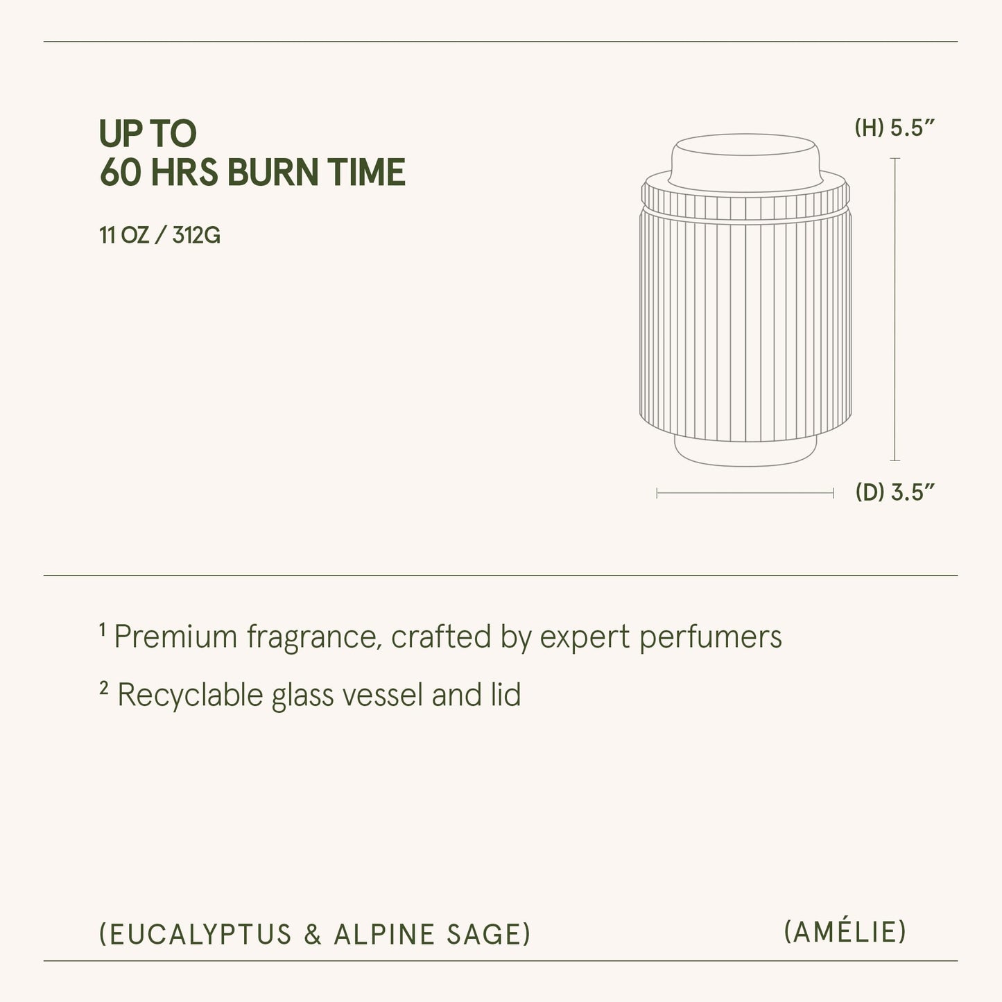 LA JOLIE MUSE Eucalyptus & Alpine Sage | Eucalyptus, Lavender & Sage Candle for Home Cleansing| 11 oz Natural Soy Wax Candle | 60 Hours Clean Burn