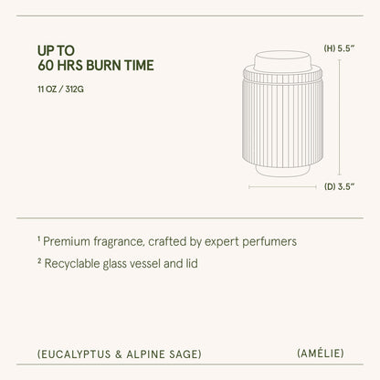 LA JOLIE MUSE Eucalyptus & Alpine Sage | Eucalyptus, Lavender & Sage Candle for Home Cleansing| 11 oz Natural Soy Wax Candle | 60 Hours Clean Burn