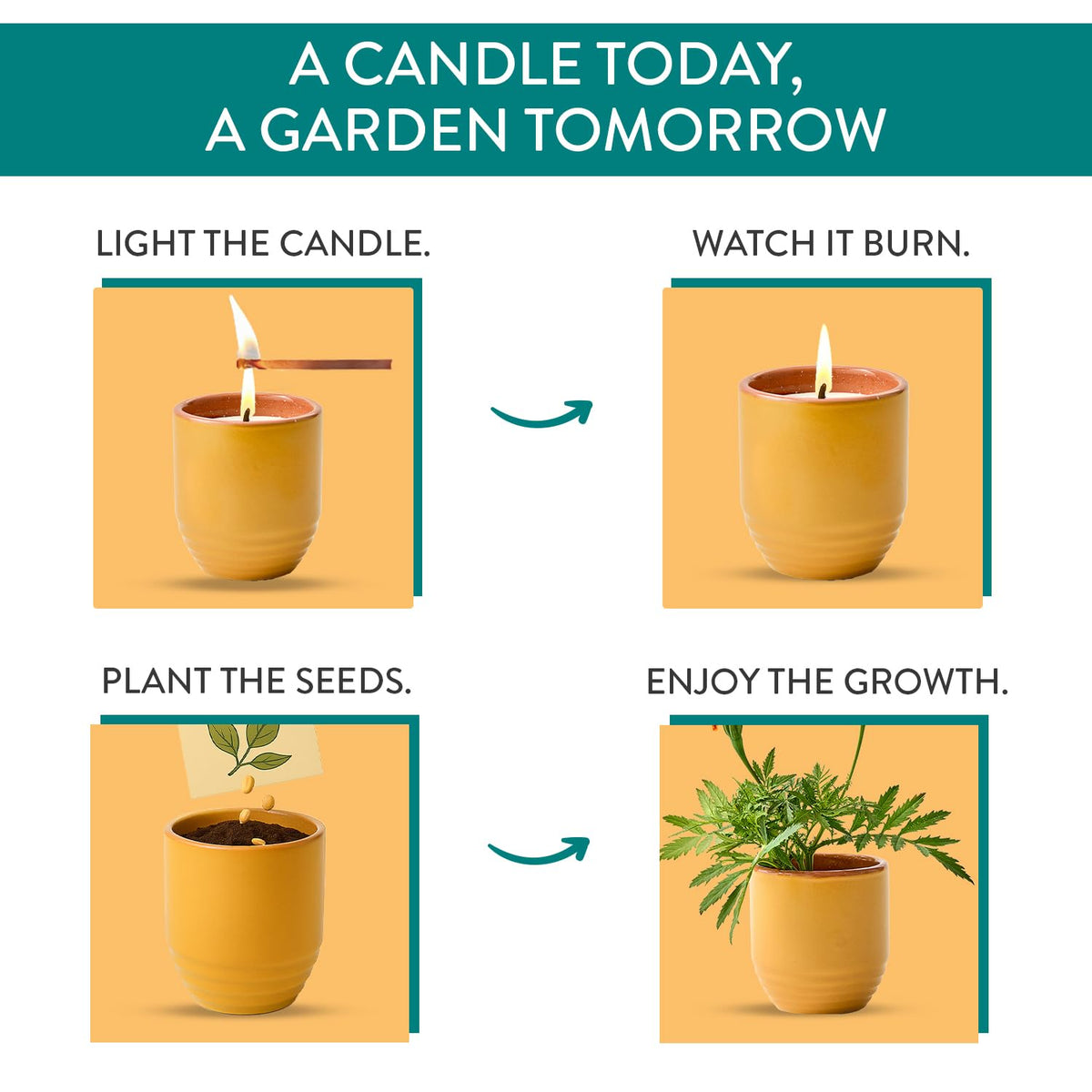 Modern Sprout - 2-in-1 Soy Candle & Planter - Last Light (Bug-Repelling Citronella, Rosemary, Cedarwood, Mint) 6 Oz Scented Candle with Marigold Seeds - Dual Purpose Jar - 38-40 Hour Burn