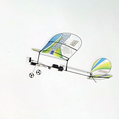 Remote Control 360mm Ultra-Micro Indoor Carbon Fiber Film Airplane Mosquito (E4306)