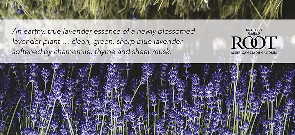 Root Candles Scented Candles Honeycomb Veriglass Premium Handcrafted Beeswax Blend Candle, Small, English Lavender