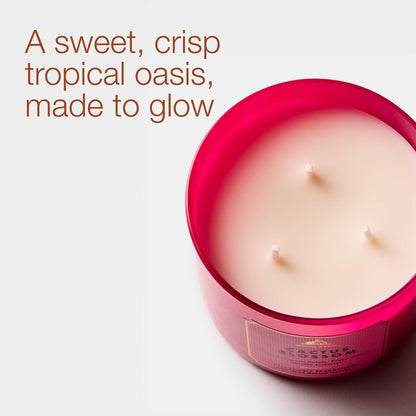 Bath & Body Works Cactus Blossom 3-Wick Candle - Scented Candle for At-Home Use - Long-Lasting, Room-Filling Fragrance - High Fragrance Oil Concentration - Soy Wax Blend - 2-Pack