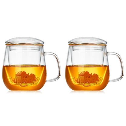 DOPUDO Glass Teacups 2 Pack Glass Tea Cup with Infuser and Lid, 17.6oz/520ml Large Borosilicate Teacup,Tea Clear Mug Cup for Loose Leaf Blooming Tea, Microwave & Dishwasher Safe.