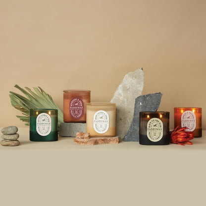 Paddywax Vista Scented Candle with Lid in Reusable Tonal Glass Jar, Clean-Burn 2-Wick Soy Candle with Approx. 84 Hour Burn Time, Decorative Gift Candles for Home, Black Fig & Olive, 12 oz