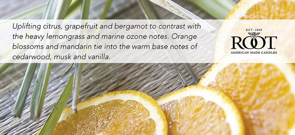 Root Candles Scented Candles Honeycomb Beeswax Blend Premium Handcrafted Candle, 12-Ounce 3-Wick, Tangerine Lemongrass