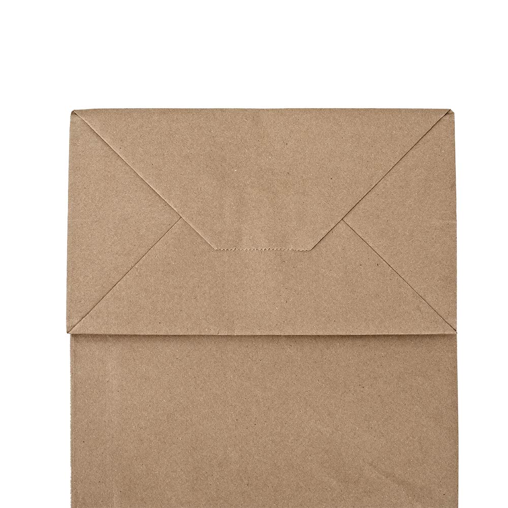 bagmad 100 Pack 8x4.75x10 Inch Plain Medium Paper Bags with Handles Bulk, Brown Kraft Craft Gift Bags, Grocery Shopping Retail Birthday Party Favors Wedding Sacks (Natural Brown, 100pcs)