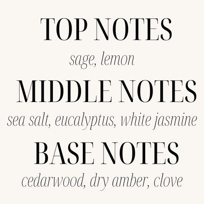 Sand + Fog Scented Candle - Sage & Sea Salt – Additional Scents and Sizes – 100% Cotton Lead-Free Wick - Luxury Air Freshening Jar Candles - Perfect Home Decor – 12oz, Sage Green