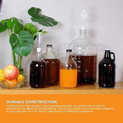FastRack 1 Gallon Glass Jug with Black Polyseal Caps, 6.5G Rubber Bungs & Twin Bubble Airlocks – Fermentation Jars for Home Brewing, Clear Glass Fermenter Containers for Liquid Fermentation