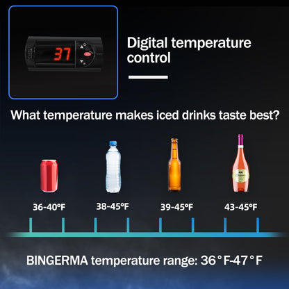 BINGERMA Back Bar Cooler with 2 Glass Sliding Doors 7.4 Cu.ft. ETL Commercial Beverage Refrigerator Black Drink Fridges for Beer, Wine,Soda, Drinks