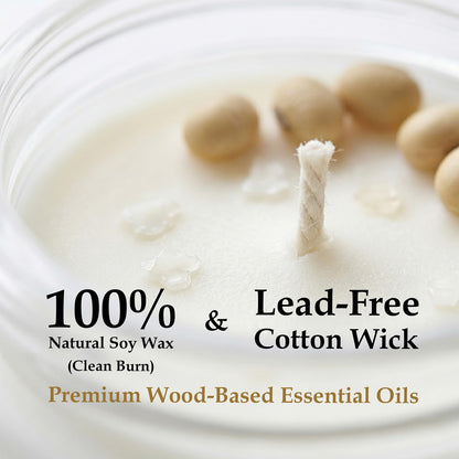 PebblesGift Wood Scented Arboreal Moss Candle 9oz Soy Wax Frosted Glass Jar for Home Decor - Scent Hunter Project Aroma Discovery Card Included - Ideal Gift for Self-Care & Relaxation