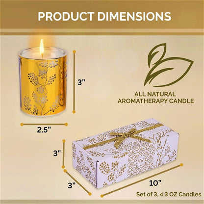 Aromatherapy Candle Gift Set of 3 Scented Candles | Strawberry Parsley, Persimmon, Eucalyptus Bergamot Soy Candles Set, Gold Candle Gifts, Relaxing Aromatherapy Candles Gift Set for Women and Men