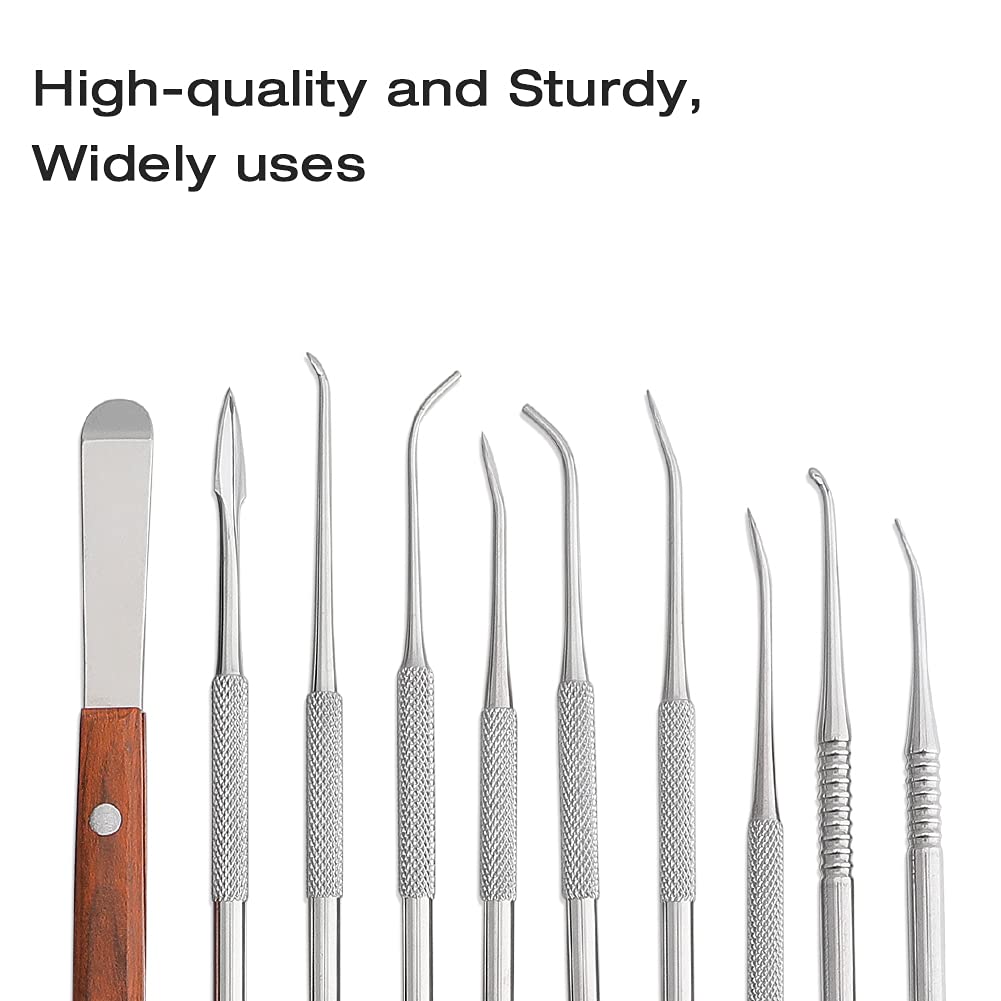 LVCHEN Wax Carving Tools - 10PCS Stainless Steel Wax Carvers Set Sculpture Chisel Tools Double-Ended Pottery and Polymer Clay Tools and Carrying Case