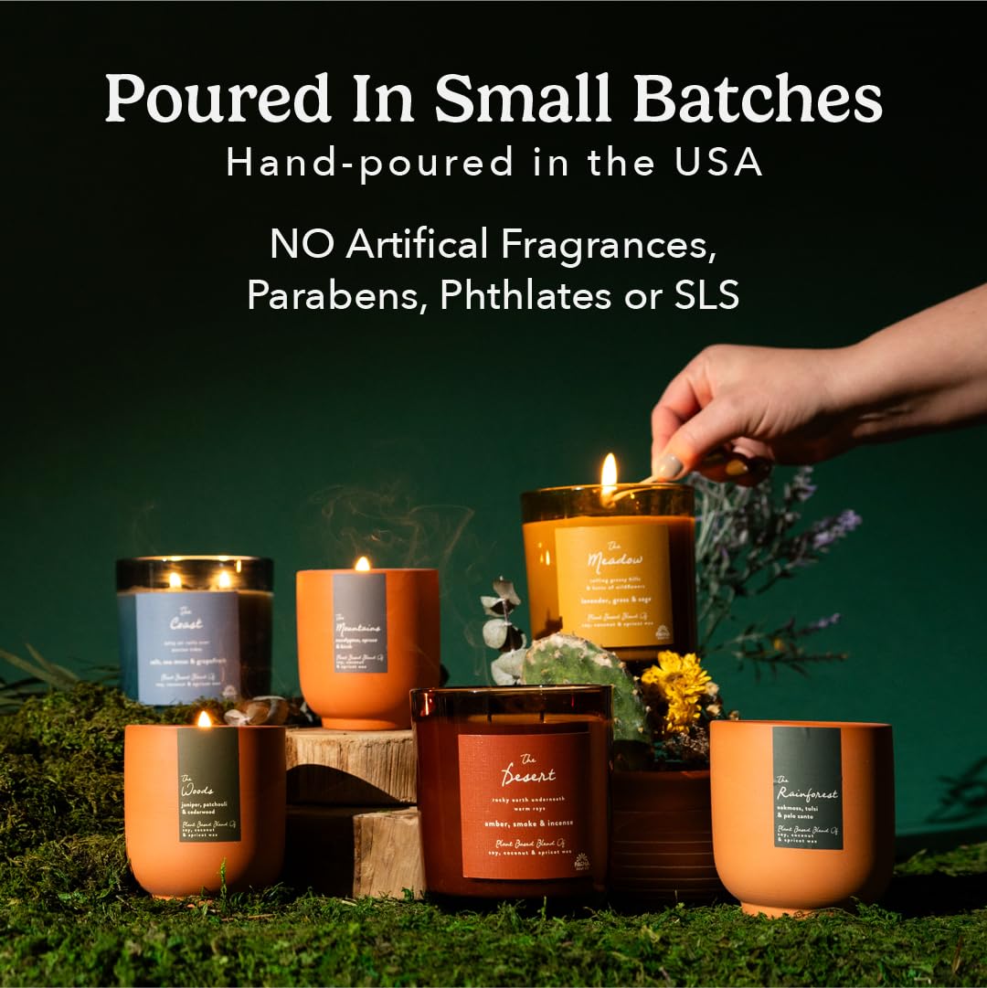 Pacha Soap Co. The Coast Candle - Salt, Sea Moss, and Grapefruit Scented, Soy, Coconut & Apricot Wax Blend, Cotton Wick, 60+ Hour Burn Time, Paraffin-Free, Recyclable, Long-Lasting, Made in USA, 12 oz
