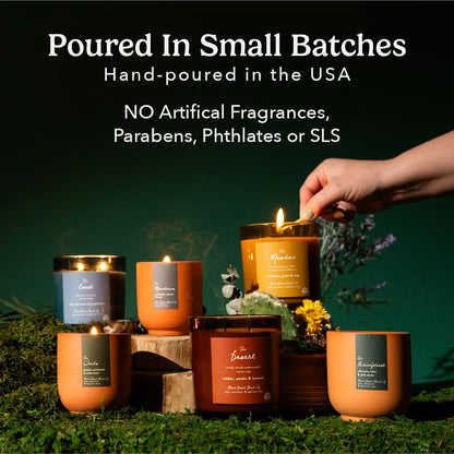 Pacha Soap Co. The Coast Candle - Salt, Sea Moss, and Grapefruit Scented, Soy, Coconut & Apricot Wax Blend, Cotton Wick, 60+ Hour Burn Time, Paraffin-Free, Recyclable, Long-Lasting, Made in USA, 12 oz
