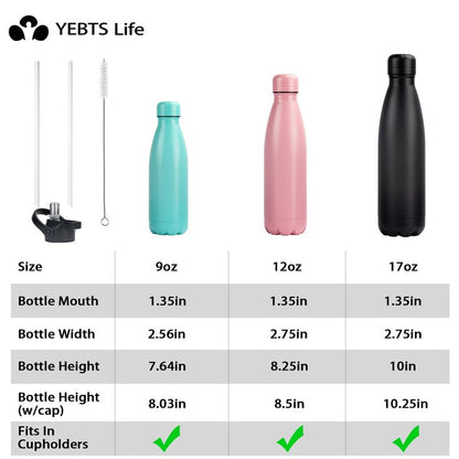 Insulated Water Bottle,17oz Stainless Steel Water Bottles with straw lid, Metal Sports Water Bottles for Boys,Girls, Double Wall Vacuum BPA-Free Flask for School, Sports(SLIVER)