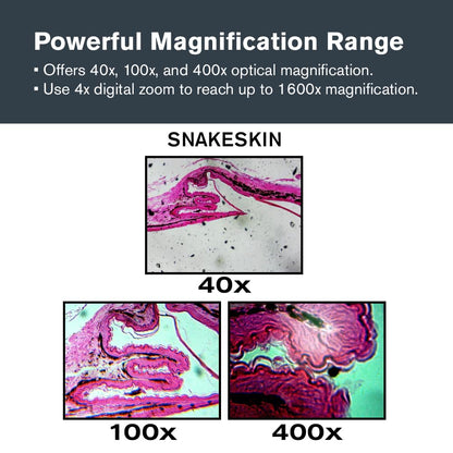 Celestron – LCD Digital Microscope II – 3.5" Screen – 5MP Camera – 40x–1600x Magnification – Rotating Head – SD Card Included – TV Output – Ideal for Slides, Labs, Classrooms, Biology, Education