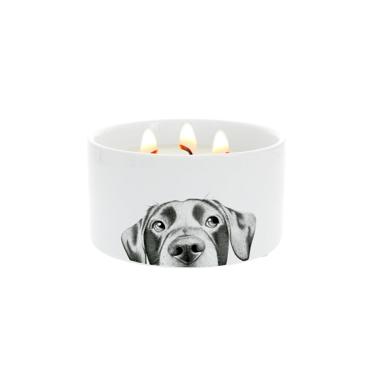 Pavilion Gift Company - Dog - 10 oz Puppy Doggy K9 Wax Reveal Hidden Surprise Art Work Jasmine Scented Housewarming Dog Mom Dog Dad Dog Lover Gift