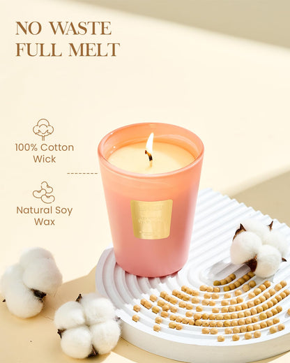 M&SENSE Tropical Spice Peach Soy Candle, 14.1oz 60H, Summer Fruity Home Fragrance, Summer Refresh Aromatherapy Candle for Stress Relief