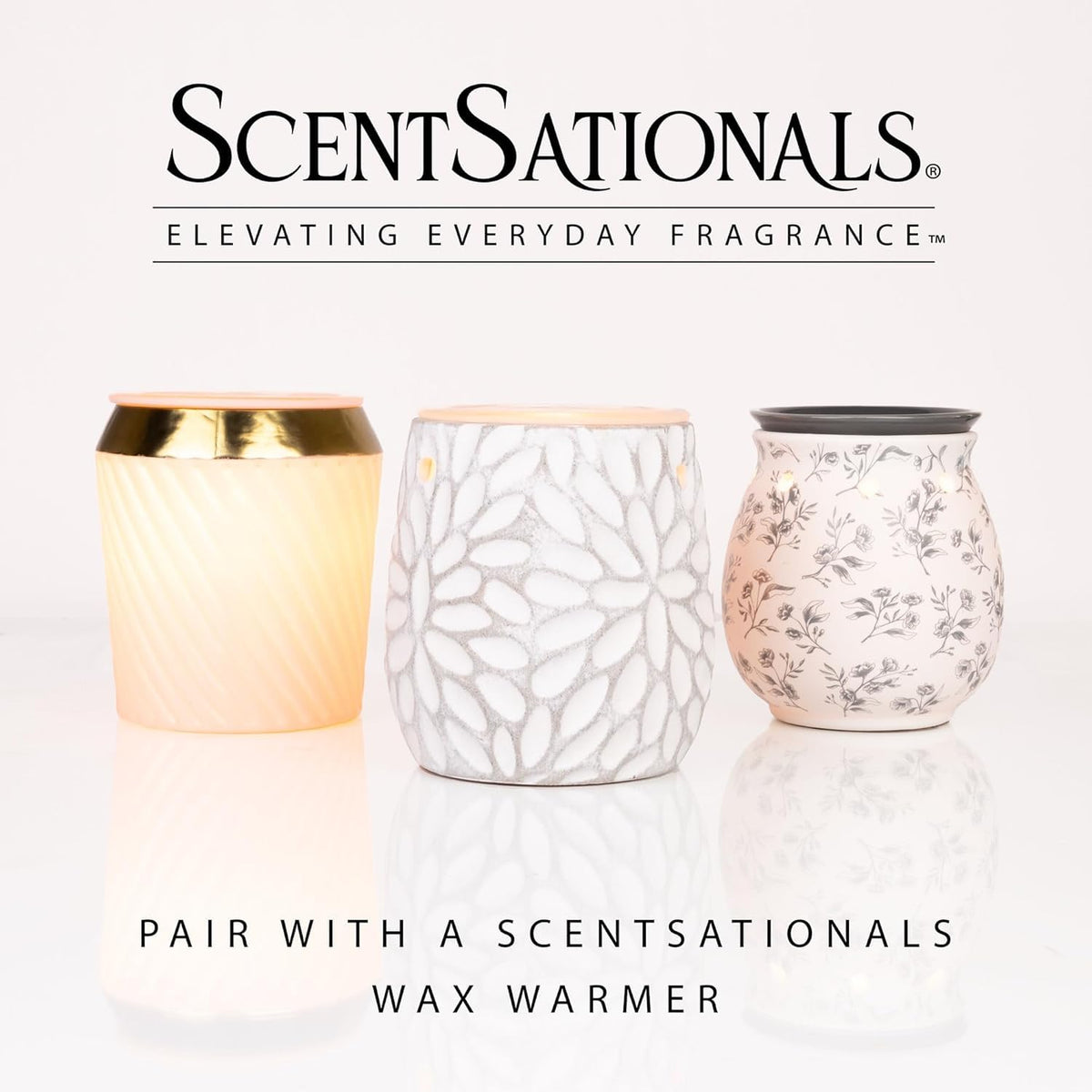 Scentsationals No Place Like Home Scented Wax Melts - Cinnamon & Clove, 10oz (24 Cubes)