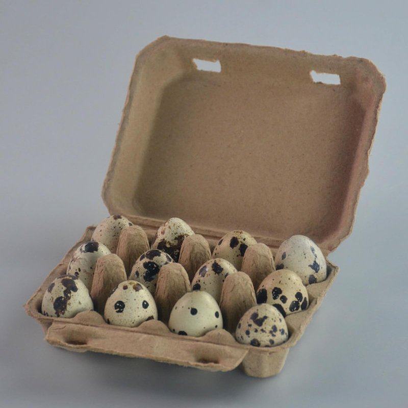 JEUIHAU 50 PCS Quail Egg Pulp Cartons Bulkj, 3 x 4 Square Paper Pulp Dozen Quail Eggs Cartons Cheap Bulk, Egg Holder for 12 Count Quail Egg, Home, Farmhouse