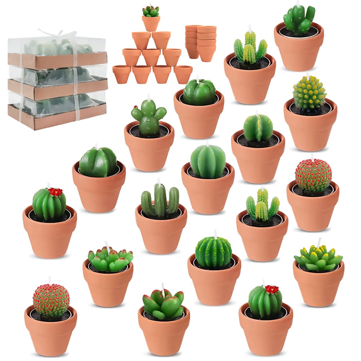 18pcs Cactus Tealight Candles Tea Party Decorations Succulent Baby Shower Fiesta Party Favors Home Decor Plant Gifts T Light Candles in Bulk