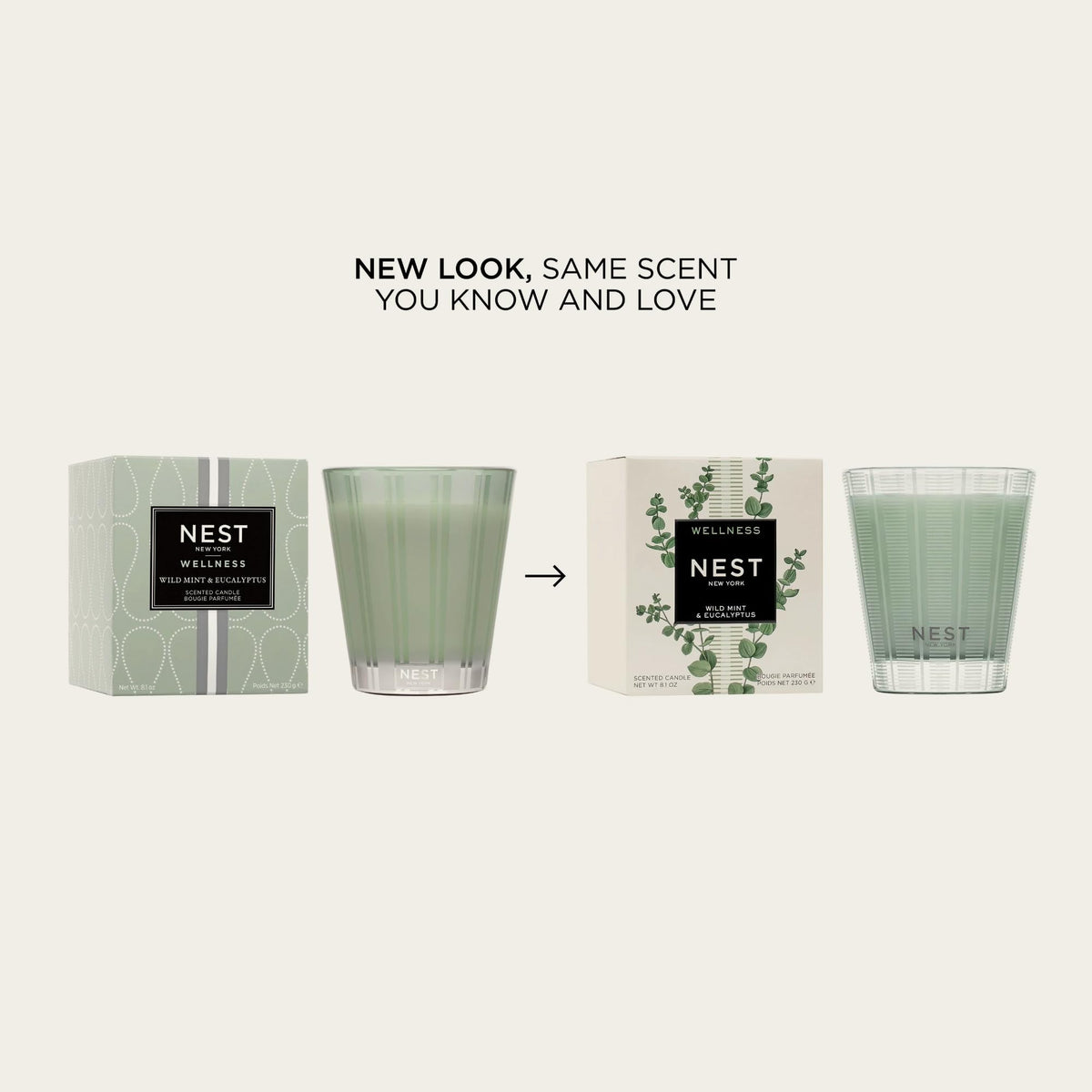 NEST New York Scented 3-Wick Candle, Wild Mint & Eucalyptus - 21.2 oz - Up to 100-Hour Burn Time - Reusable Glass Vessel
