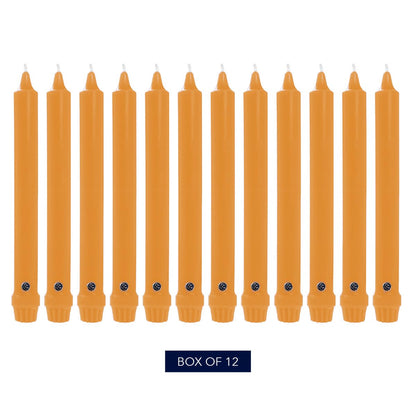 Colonial Candle Unscented Taper Candle, Classic Collection, Caramel, 10 in, Pack of 12 - Up to 8 Hours Burn
