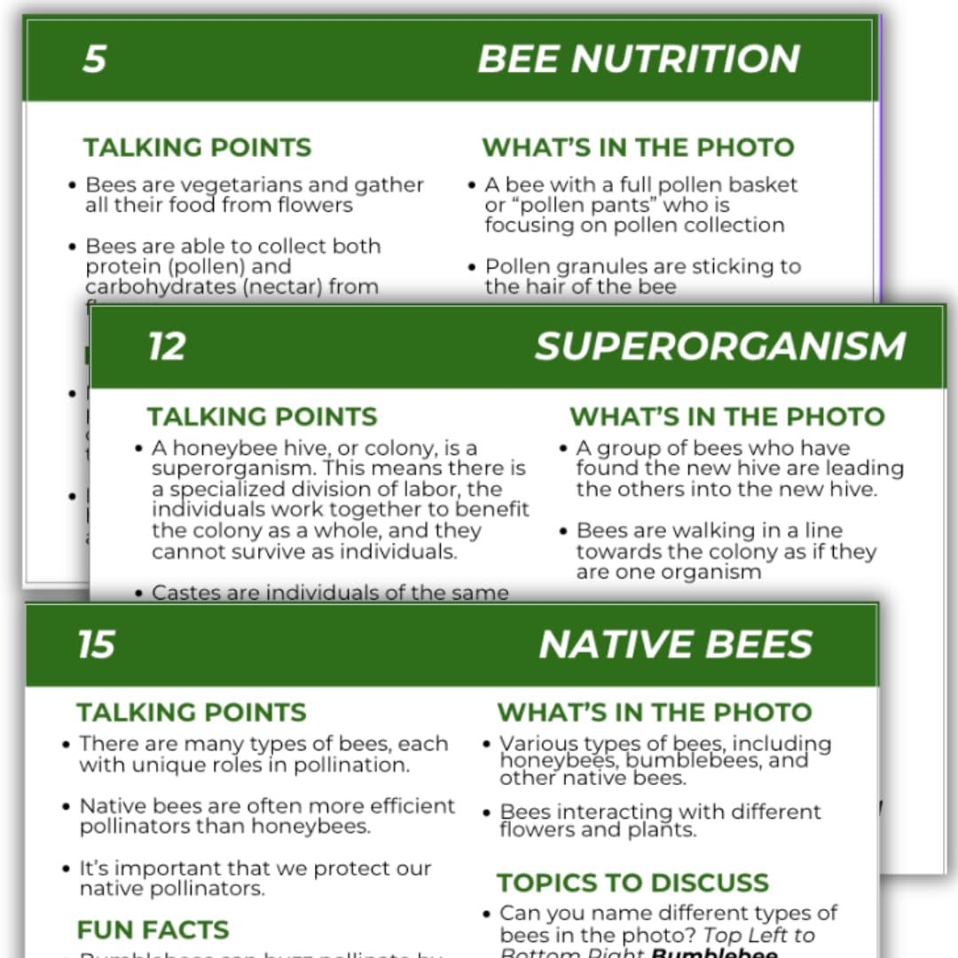 Educational Beekeeping Cards – 12x18 Oversized Beekeeping Flashcards for Teaching Bees and Beekeeping - Classroom and Workshop Learning Tool (Basic Set - Laminated)