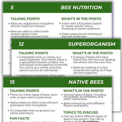 Educational Beekeeping Cards – 12x18 Oversized Beekeeping Flashcards for Teaching Bees and Beekeeping - Classroom and Workshop Learning Tool (Basic Set - Laminated)