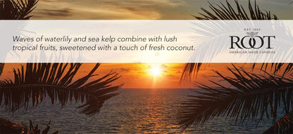 Root Candles Scented Candles Honeycomb Beeswax Blend Premium Handcrafted Candle, Large Veriglass, Coastal Sunrise