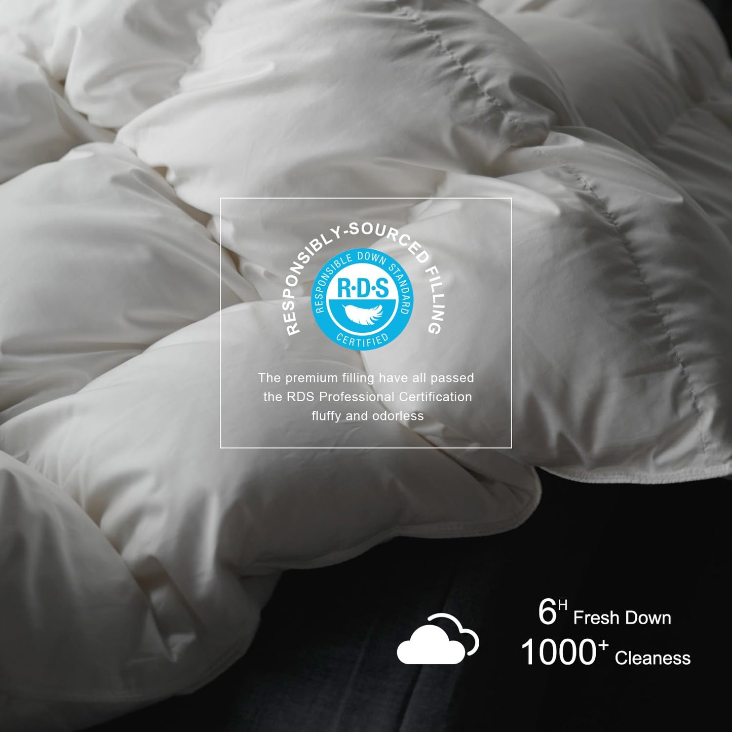 Royoliving Luxurious Down Duvet Insert Feather Queen Size All Season White 100% Organic Cotton Cover Full Szie Down with Corner Tabs (90x90, 50 oz)