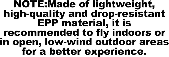 Foam Remote Control Airplanes RC Planes for Kids Adults 6-16 RC Airplane Play Indoors or Windless Outdoors.