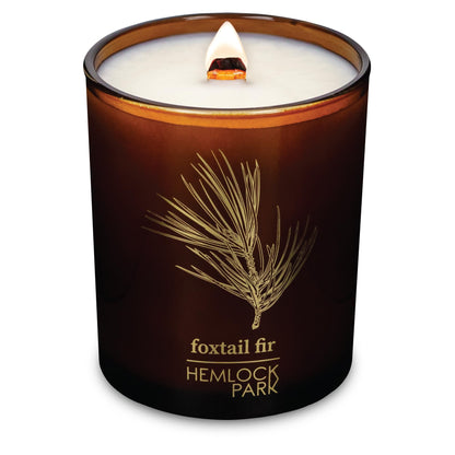 Hemlock Park Foxtail Fir Amber & Gold Hand-Poured Scented Candle | Crackling Wood Wick, Botanical Fragrance & Coconut Wax | Up to 60 Hour Burn Time | 7.2 oz