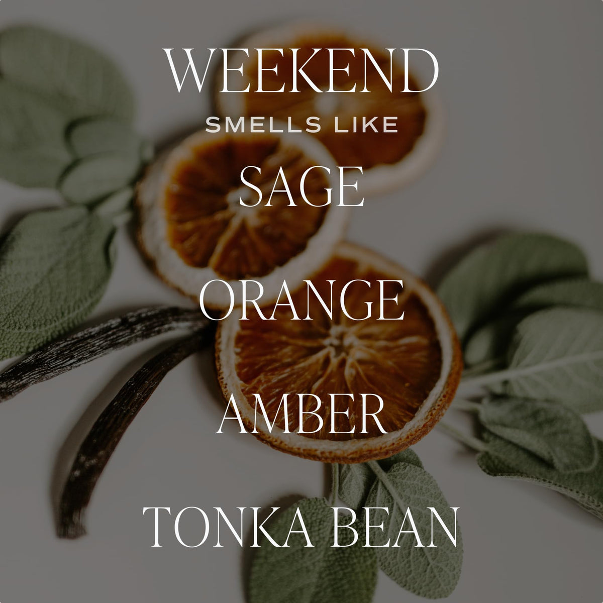 Sweet Water Decor Weekend Candle - Soy Citrus, Grapefruit, Sage, Amber, and Oakmoss Scented Earthy Candles for Home - 9oz Clear Jar with Gold Lid, 40+ Hour Burn Time, Made in The USA