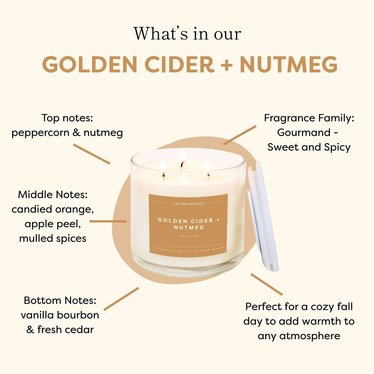 Calyan Wax Co. Golden Cider & Nutmeg 3 Wick Scented Candle - 43 Hour Burn - Luxury 3 Wick Soy Candles - Clean Soy Wax Candles - Long Lasting Large Glass Jar Candle for Home - 14.9oz