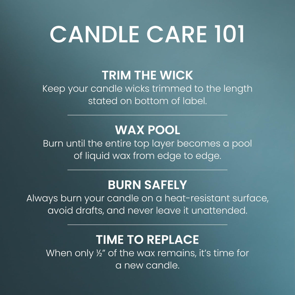 Yankee Candle Large Tumbler Scented Candle with up to 80 Hour Burn Time, Premium Plant Wax Blend for Consistent Burn, 20 oz Tumbler Candle with Room Filling Fragrance, Bayside Cedar
