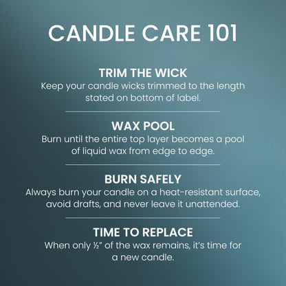 Yankee Candle Large Tumbler Scented Candle with up to 80 Hour Burn Time, Premium Plant Wax Blend for Consistent Burn, 20 oz Tumbler Candle with Room Filling Fragrance, Bayside Cedar