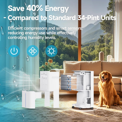 AIRVIP 34 Pints Dehumidifiers for Home with 6.56ft Drain Hose, 2441 Sq.Ft Quite & Energy Efficient Dehumidifier for Basement Bedroom Bathroom with Auto Shut Off,2.5 L Water Tank,Smart Humidity Control