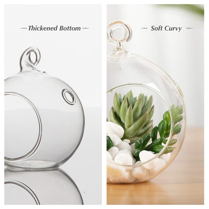 WGV Hanging Terrarium Globe, Width 3", Height 4", DIY Air Succulent Planter, Clear Glass Vase Orb with Flat Bottom, Candle Holder for Windowsill Outdoor Garden Decor, 6 Pieces Bulk