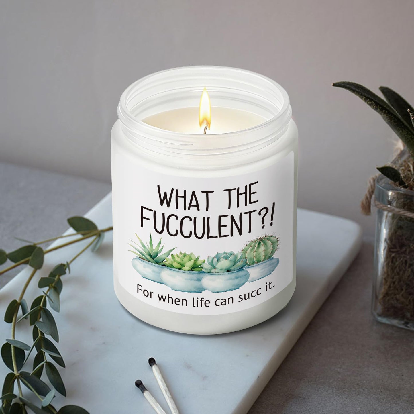 Succulent Candle, Plant Lover Gifts for Best Friends Her Him Girlfriend Sister Wife, Cheer up Lavender & Vanilla candles, Get Well Presents for Women, Her, Cheer up Ideas